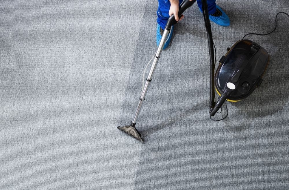 Does Professional Carpet Cleaning Reduce Allergens?  What Bellingham Homeowners Need to Know